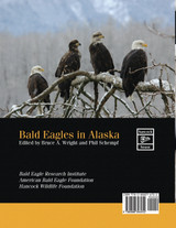Bald Eagle in Alaska Bald Eagle in Alaska