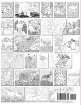 Animal Patterns Coloring Book 2