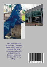 TWICE AROUND THE HOSPITAL BED