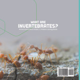 What Are Invertebrates? | Animal Science Book Grade 3 | Children's Zoology Books