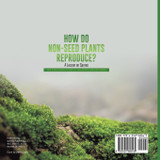 How Do Non-Seed Plants Reproduce? A Lesson on Spores | Life Cycle Books Grade 5 | Children's Biology Books How Do Non-Seed Plants Reproduce? A Lesson on Spores | Life Cycle Books Grade 5 | Children's Biology Books
