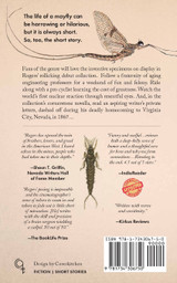 The Mayfly The Mayfly