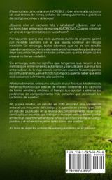 Entrenamiento Positivo De Cachorros Para Principiantes