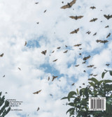 BATS! The Only Flying Mammals | Bats for Kids | Children's Mammal Books BATS! The Only Flying Mammals | Bats for Kids | Children's Mammal Books
