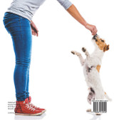 How To Train My Puppy! | Puppy Care Book for Kids | Children's Dog Books How To Train My Puppy! | Puppy Care Book for Kids | Children's Dog Books