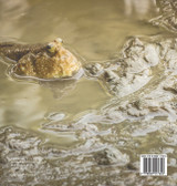 There Are Things Moving In The Mud! Animal Book Age 5 | Children's Animal Books There Are Things Moving In The Mud! Animal Book Age 5 | Children's Animal Books