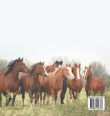 Giddy Up Horsey! Yeehaw! | Horses Book for Kids | Children's Horse Books Giddy Up Horsey! Yeehaw! | Horses Book for Kids | Children's Horse Books