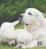 Big Dogs & Puppy Facts for Kids | Dogs Book for Children | Children's Dog Books