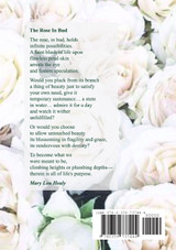Prism 40 - June 2019