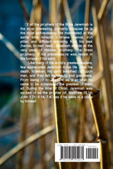 Iron Pillar, Broken Reed Iron Pillar, Broken Reed