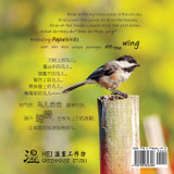 On the Wing 翅膀 - North American Birds 4