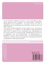 Menschenaffen am Ur-Rhein