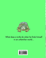Turtles Don't Climb Stairs Turtles Don't Climb Stairs