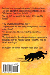 Matty, Detective Cat Matty, Detective Cat