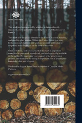 Forest Culture and Eucalyptus Trees Forest Culture and Eucalyptus Trees