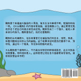 大 头 鲍 勃