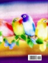 Rainbow Love Rainbow Love