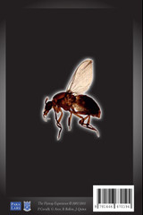 The Flytrap Experience