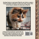 The Journal of Agent Gina Ginger Knickers, Phase One