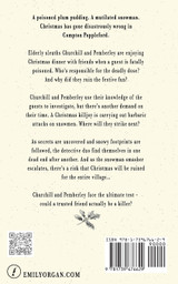 Disaster at the Christmas Dinner