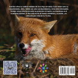 Niños en la Tierra Aventuras de vida Silvestre - Explora el Mundo Red Fox - Austria