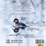 On the Wing 翅膀 - North American Birds 6