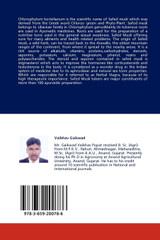 Safed Musli   (Chlorophytum borivilianum)