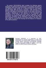 Exemplary Study of Pile Foundations