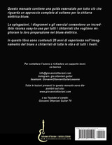 La Chitarra Elettrica nel Blues