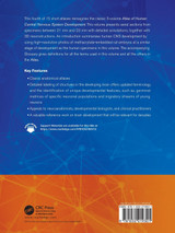 The Human Brain during the First Trimester 21- to 23-mm Crown-Rump Lengths