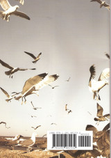 Hereward the Wake volume 1 Hereward the Wake volume 1