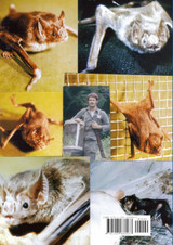 Mein Tanz  mit Vampiren     MEXICO 1971-72