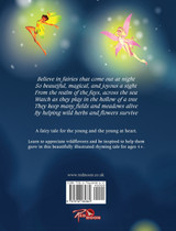 Believe in Fairies Believe in Fairies