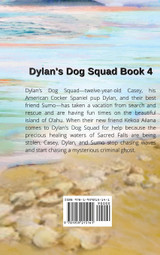 Dylan's Hawaiian Ghost