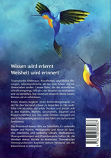 Die Weisheit der weiblichen Wunde