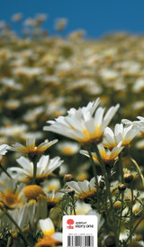 Ausschnitte aus dem Leben. Life is a Story - story.one Ausschnitte aus dem Leben. Life is a Story - story.one