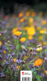Die Welt ist voller Geheimnisse. Life is a Story - story.one Die Welt ist voller Geheimnisse. Life is a Story - story.one