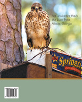 The Duck Pond Hawk The Duck Pond Hawk