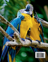 Parrot Coloring Book for Kids Parrot Coloring Book for Kids