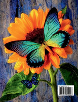 Butterfly Coloring Book for Adults Butterfly Coloring Book for Adults