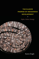 The Elusive Promise of Indigenous Development