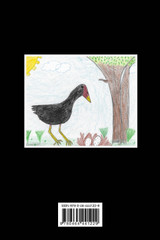 The Hawaiian Moorhen - Alae Ula