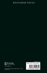 Rebel Financing and Terrorism in Civil Wars