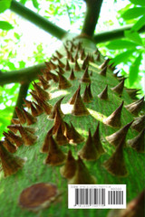 OZAIN,The Secrets of Congo Initiations & Magic Spells,PALO MAYOMBE - PALO MONTE - KIMBISA