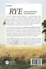 Rye