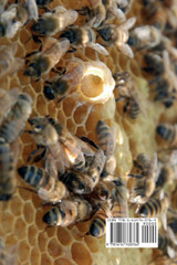 The Practical Queen Breeder