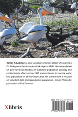 A Century of Observing Great Lakes Waterbirds