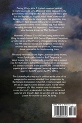 Beneath the Raging Sky