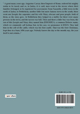 Two christmas celebrations