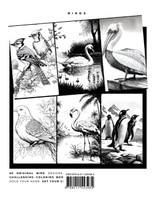 Birds (Coloring Book)